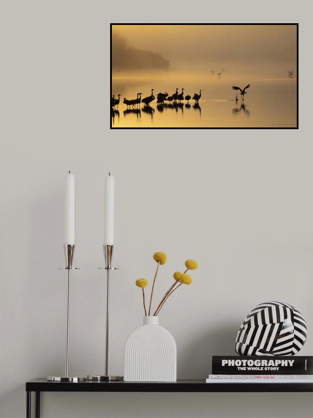 Gold Morning Poster och Canvastavla