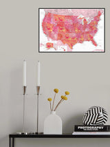 Highly detailed map of the United States, Tatiana Poster och Canvastavla