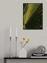 palm leaf Poster och Canvastavla