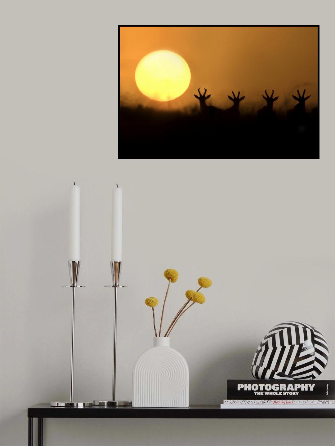 Topis silhouettes Poster och Canvastavla