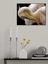 Toileting... Poster och Canvastavla