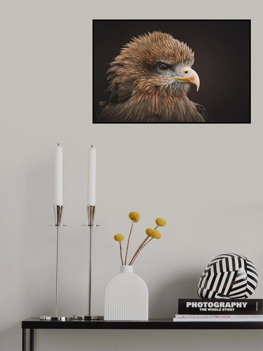 The Kite Poster och Canvastavla