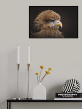 The Kite Poster och Canvastavla
