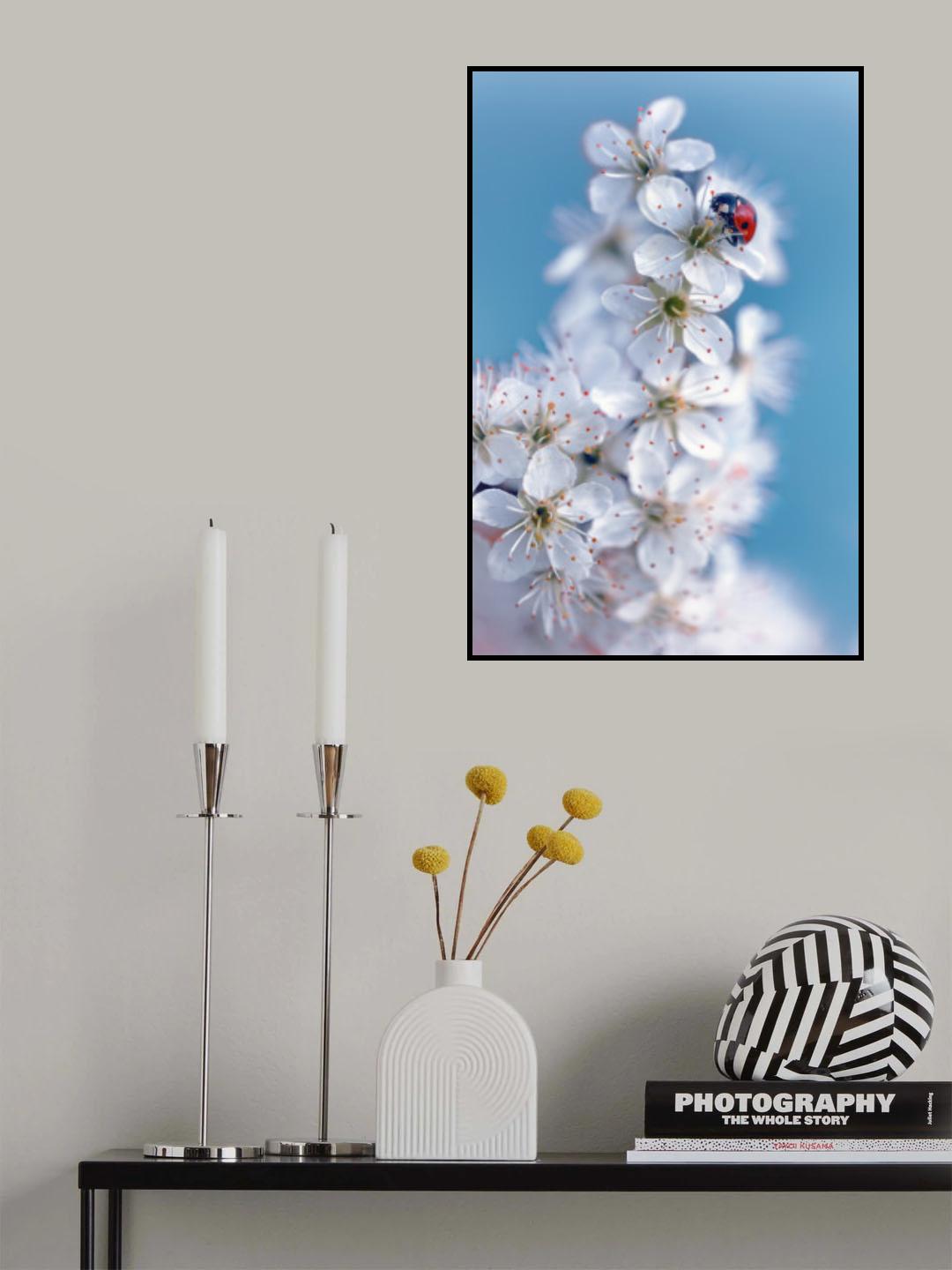 Spring Poster och Canvastavla
