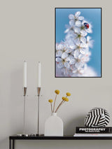 Spring Poster och Canvastavla