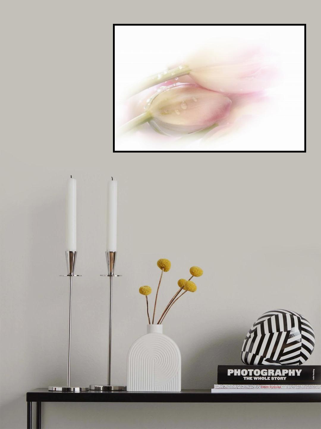 Touching Poster och Canvastavla