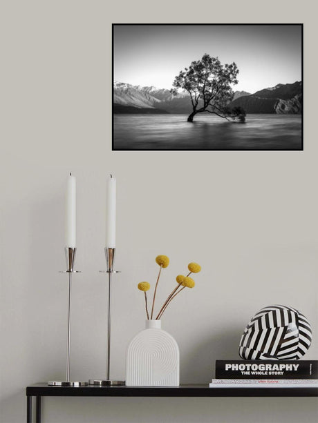 wanaka tree Poster och Canvastavla