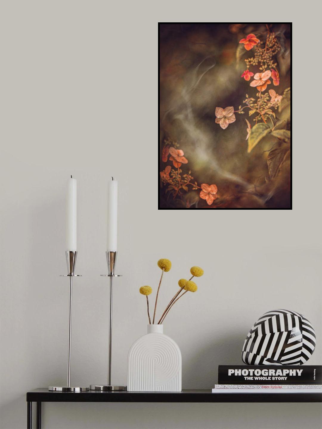 Hydrangea Poster och Canvastavla