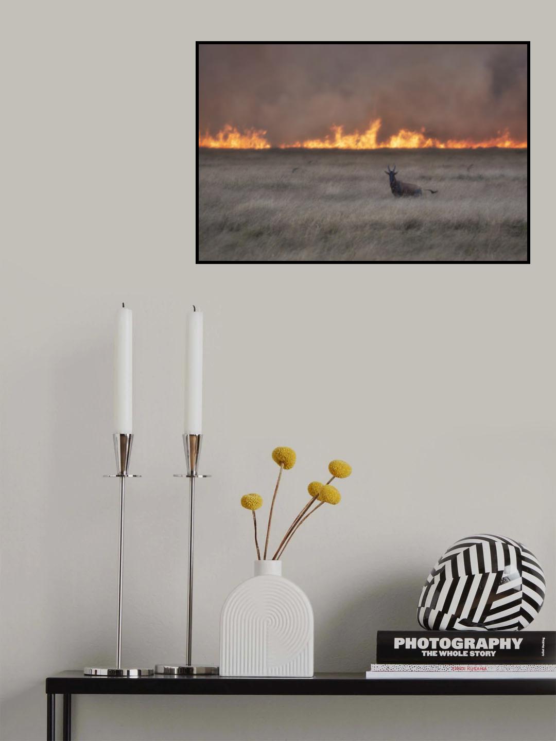 Savannah Burning Poster och Canvastavla