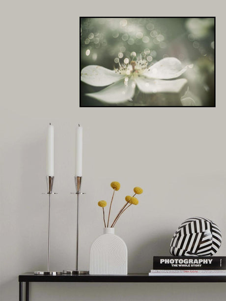 Air Poster och Canvastavla