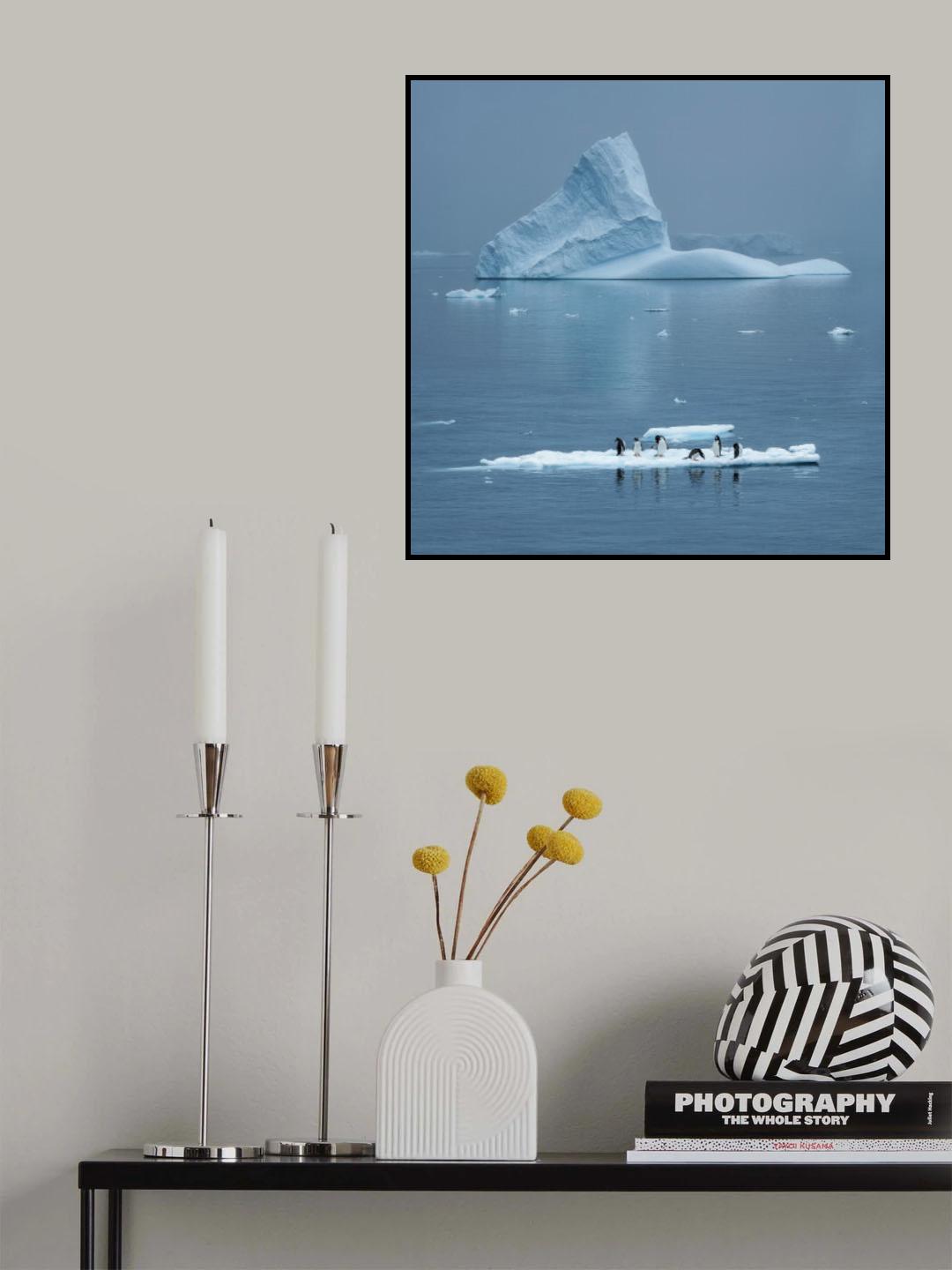 Daily Life in Antarctica Poster och Canvastavla