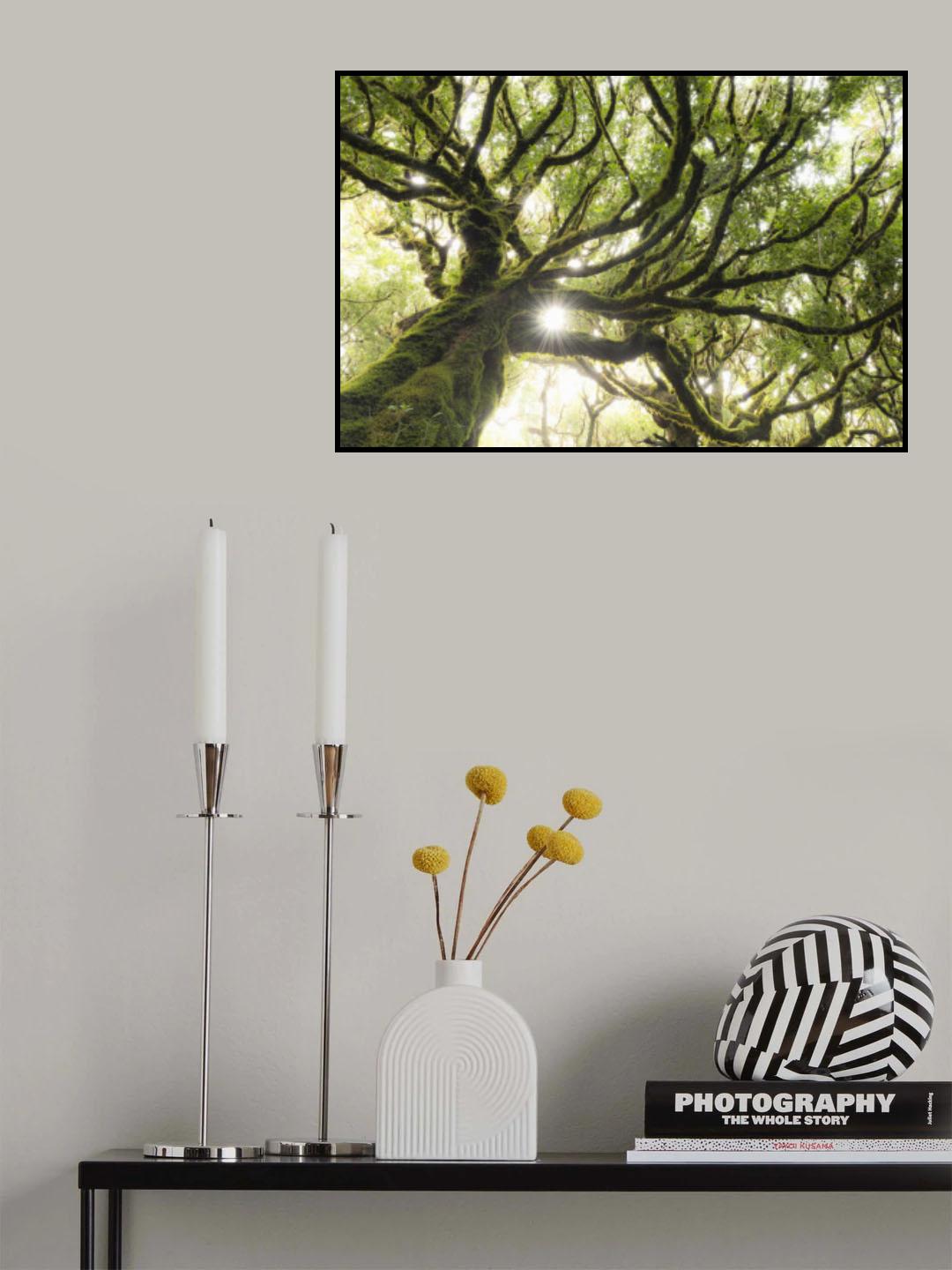 Green Star Poster och Canvastavla