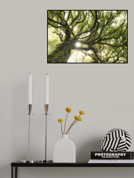 Green Star Poster och Canvastavla