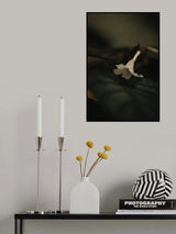 Botanical Series - White Blossom Poster och Canvastavla