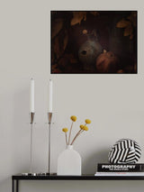 Cracked jug and moth Poster och Canvastavla