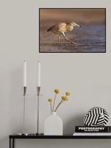 Tiptoe entry Poster och Canvastavla