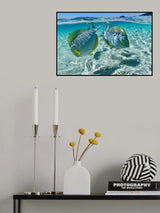 Splash of colors Poster och Canvastavla