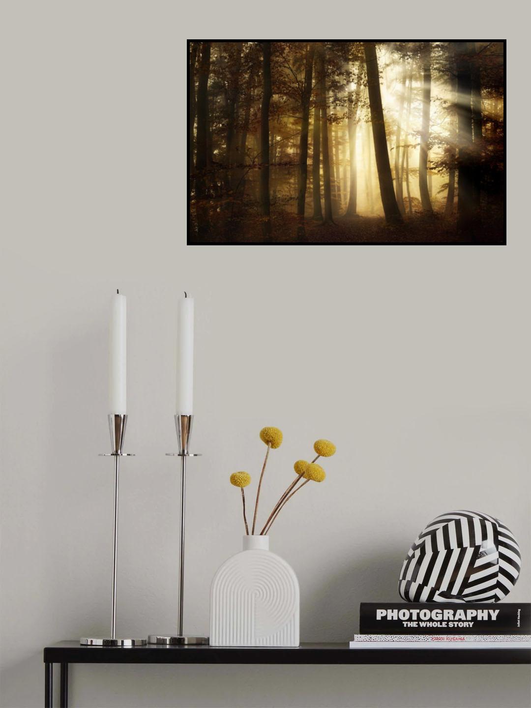 a new day Poster och Canvastavla