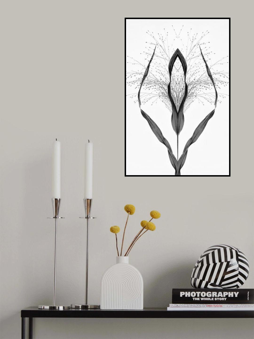 Black grass Poster och Canvastavla