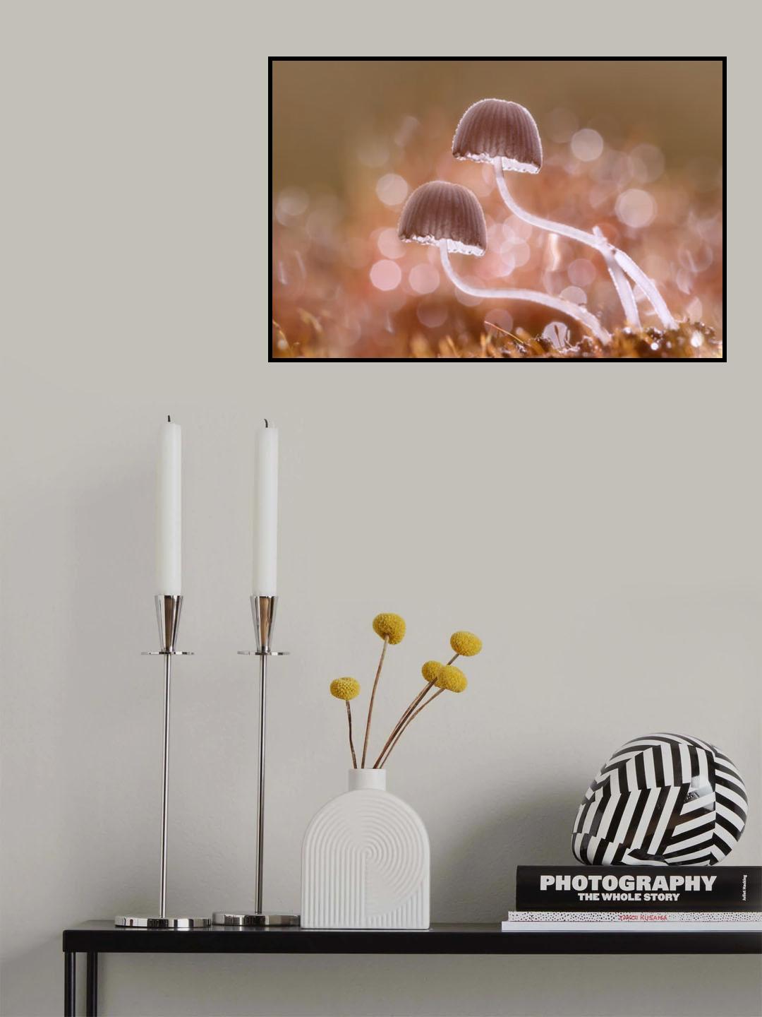 You and I After The Rain Poster och Canvastavla