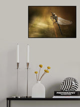 Natural texture Poster och Canvastavla
