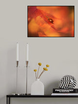 Autumn Ladybird Poster och Canvastavla