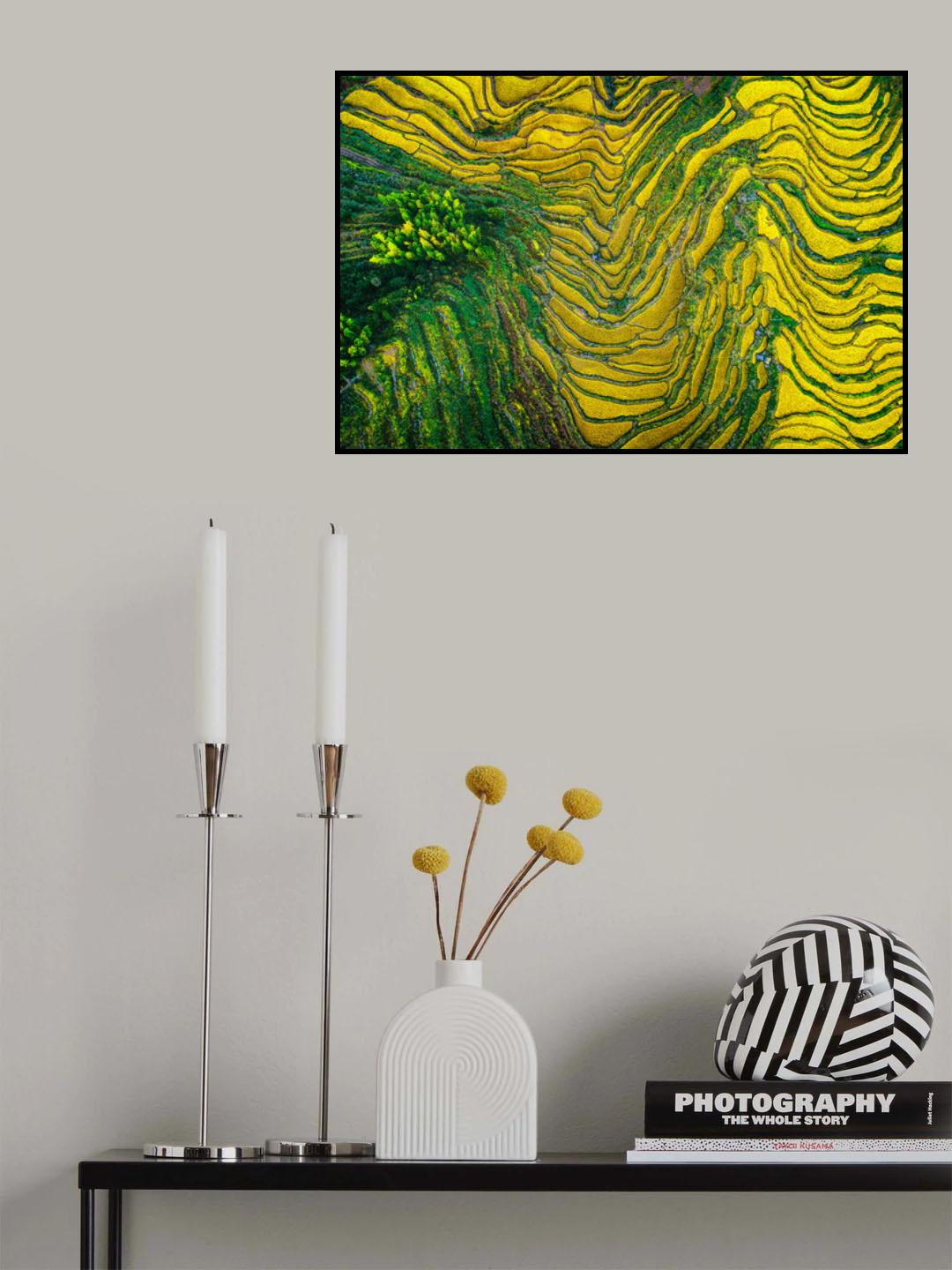 Thousand layer cake Poster och Canvastavla