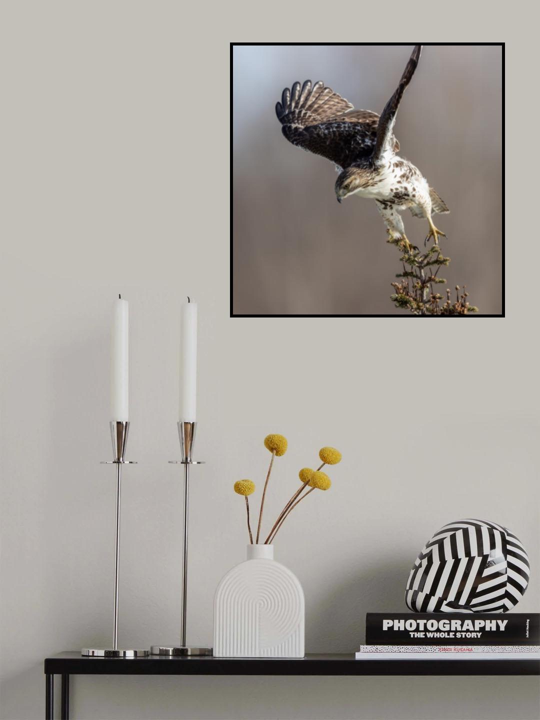 Take off Poster och Canvastavla