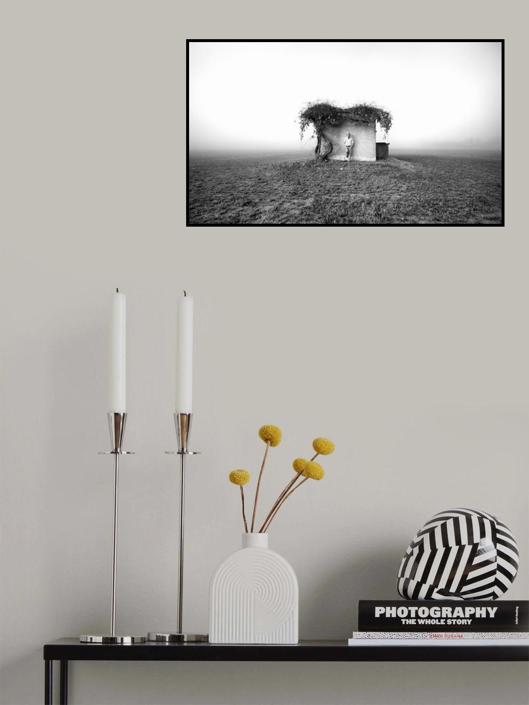 Small houses Poster och Canvastavla