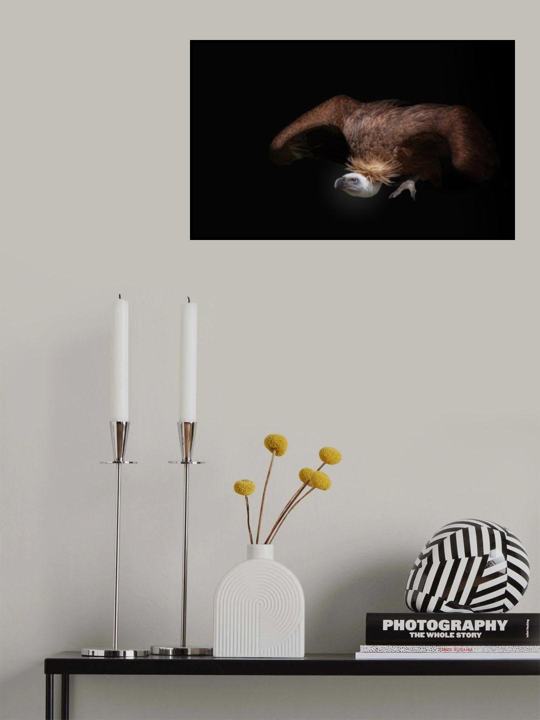 vulture Poster och Canvastavla