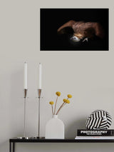 vulture Poster och Canvastavla