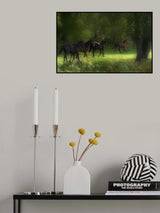 Running Horses Poster och Canvastavla