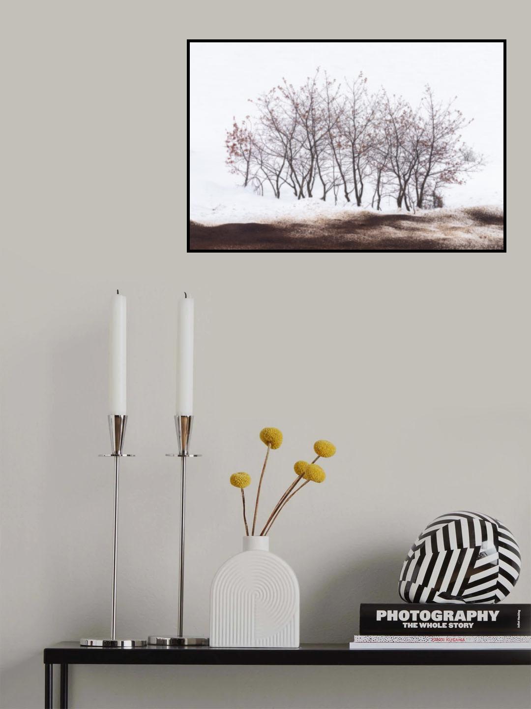 SMALL FOREST Poster och Canvastavla
