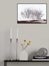SMALL FOREST Poster och Canvastavla
