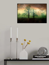 Some Time After... Poster och Canvastavla