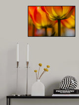 Under the tulip Poster och Canvastavla