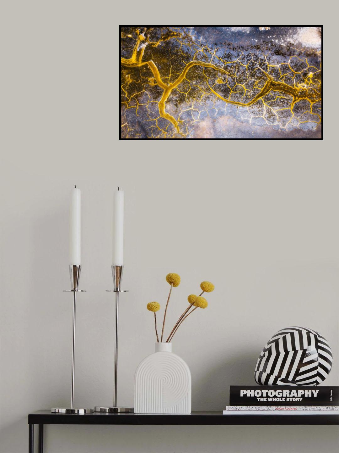 Salt's colors Poster och Canvastavla
