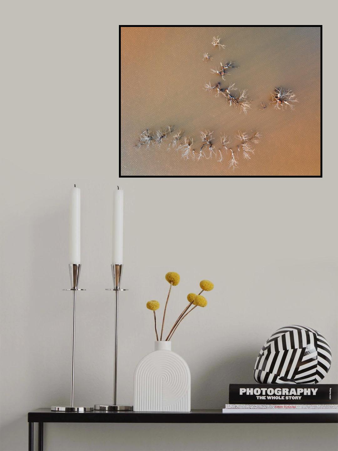 Human desert Poster och Canvastavla