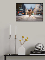 Street Dancer Poster och Canvastavla