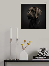 Nelly Poster och Canvastavla