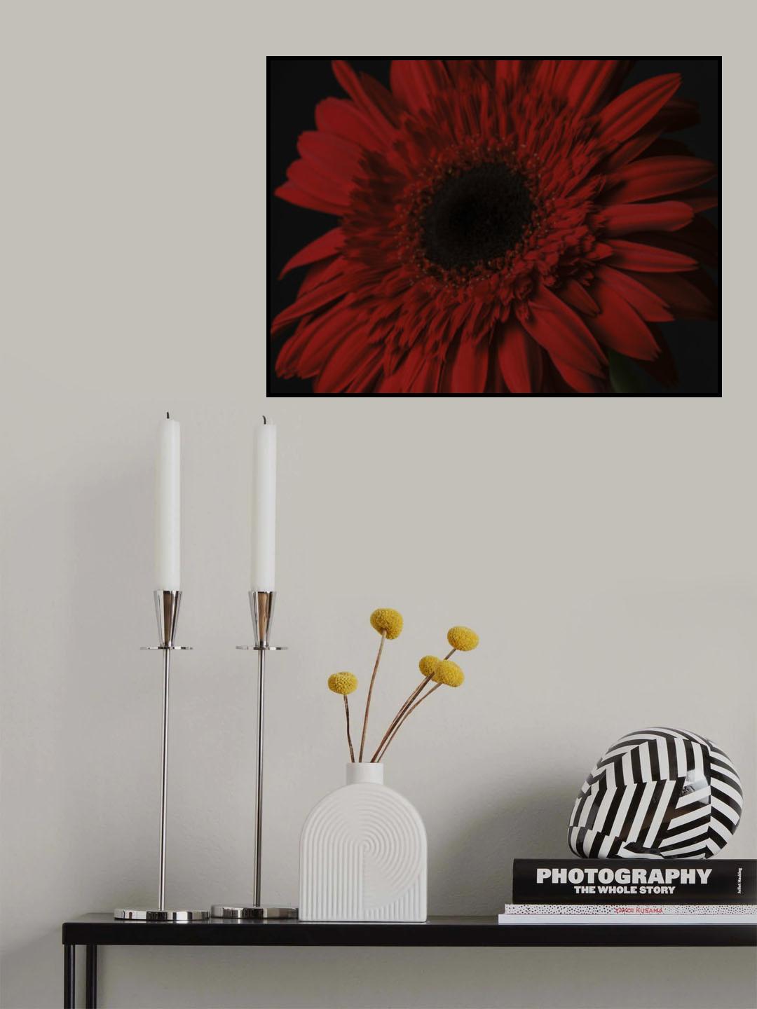 beautiful flower Poster och Canvastavla