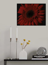 beautiful flower Poster och Canvastavla