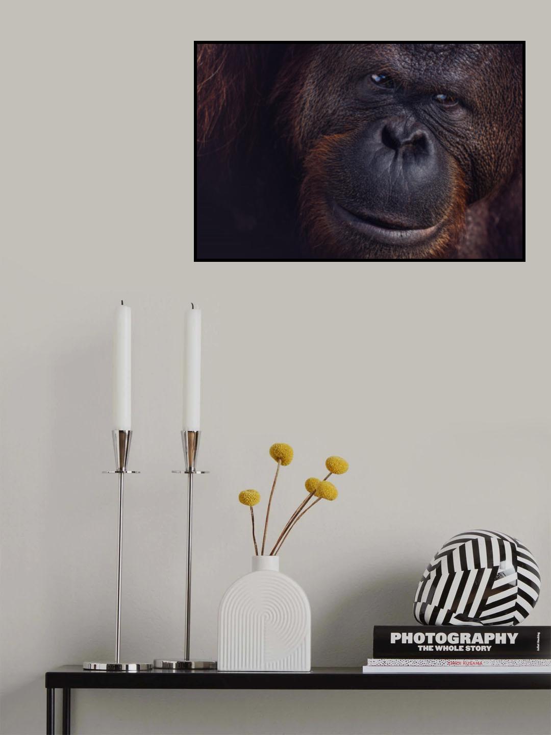 Eyes of Borneo Poster och Canvastavla