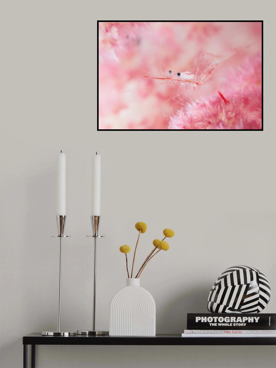 Glamour shrimp Poster och Canvastavla
