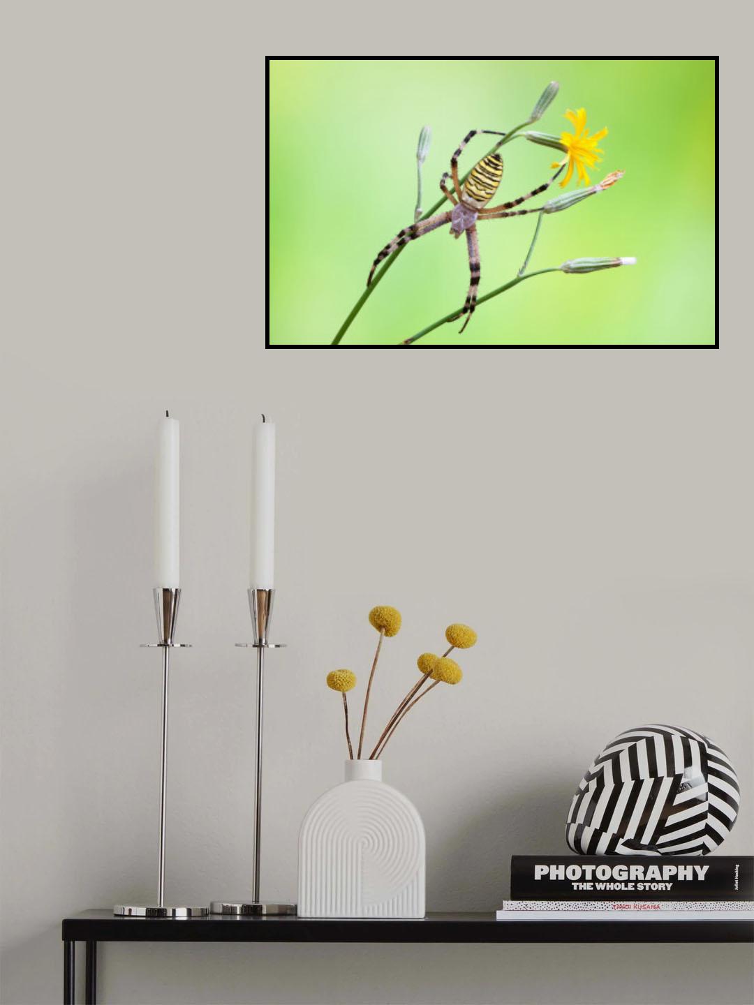 Flowery cobweb Poster och Canvastavla