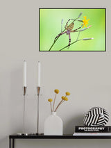 Flowery cobweb Poster och Canvastavla