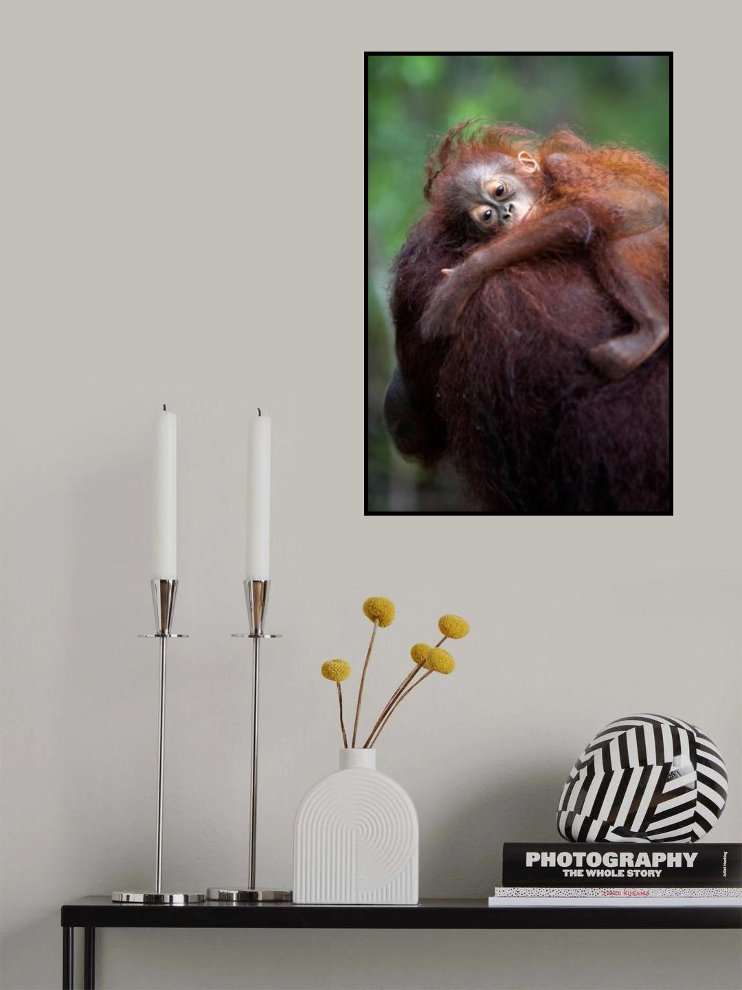 Lying on the mom shoulder Poster och Canvastavla