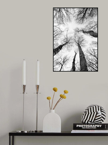 Tree Study 07 Poster och Canvastavla