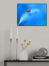 In the sky... Poster och Canvastavla