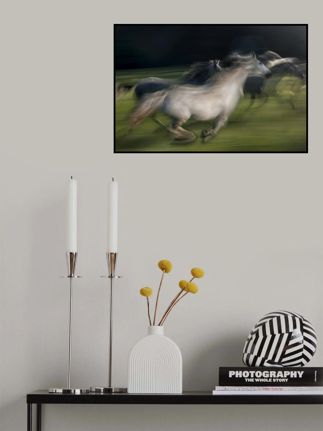 in gallop Poster och Canvastavla